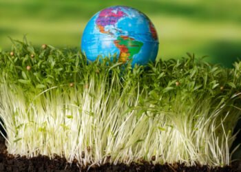 كيف تجعل المقاولة الاجتماعية مسؤولة عن أهداف التنمية المستدامة