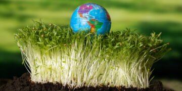 كيف تجعل المقاولة الاجتماعية مسؤولة عن أهداف التنمية المستدامة