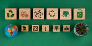 ما هي أنواع الاستدامة؟