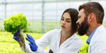 مستقبل الأمن الغذائي في مواجهة تغير المناخ