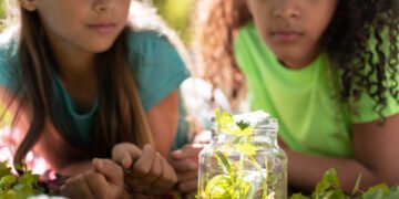 نشاط عن البيئة للأطفال لتعزيز الوعي البيئي
